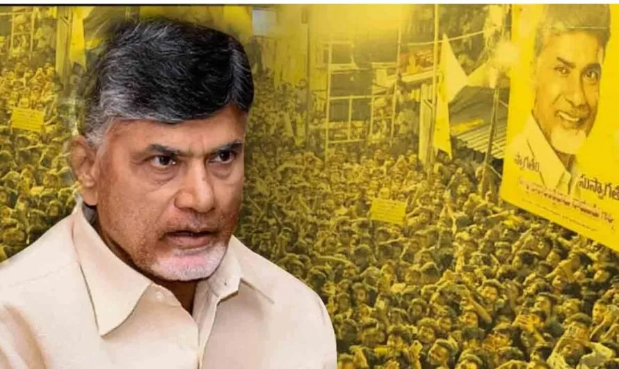 పసుపు తోటలో ఆంధ్ర ప్రదేశ్