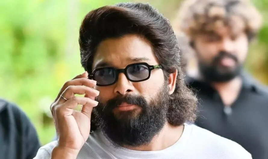Allu Arjun : రాజకీయాల్లోకి వచ్చే ఉదేశ్యం లేదంటున్న బన్నీ