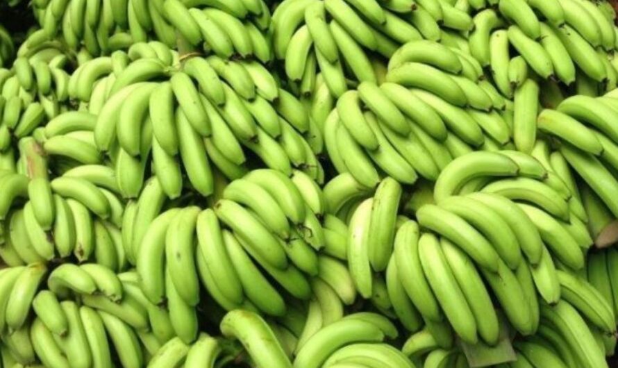 Green Banana : కూర అరటికాయతో చర్మానికి అందం