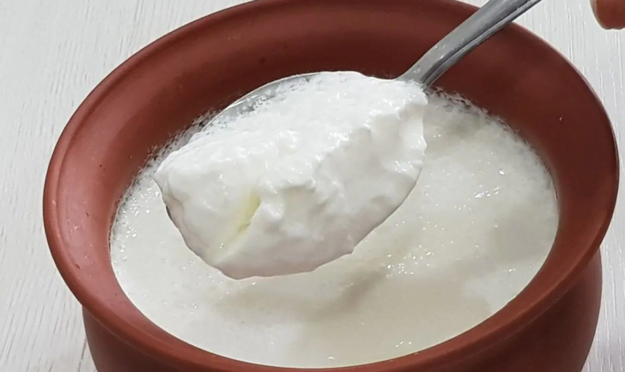 Eating Curd : పెరుగును ఆ సమయంలో తినరాదు
