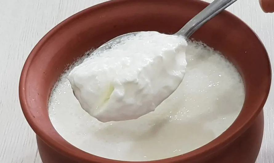 Eating Curd : పెరుగును ఆ సమయంలో తినరాదు