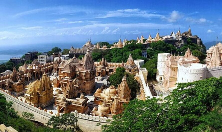 Pure Vegetarian City : ప్రపంచంలోనే మాంసాహారం ముట్టని నగరం ఎక్కడ ఉందంటే ???