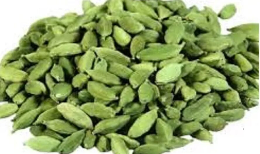 Elachi Benefits : రెండు యాలకలు…. బోలెడు లాభాలు….