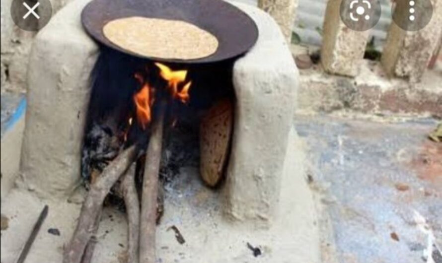 Making Roti :  ఆ హీరోయిన్ కట్టెల పొయ్యిపై చేసిన రొట్టెలే తింటుంది… ఎవరు ఆమె….