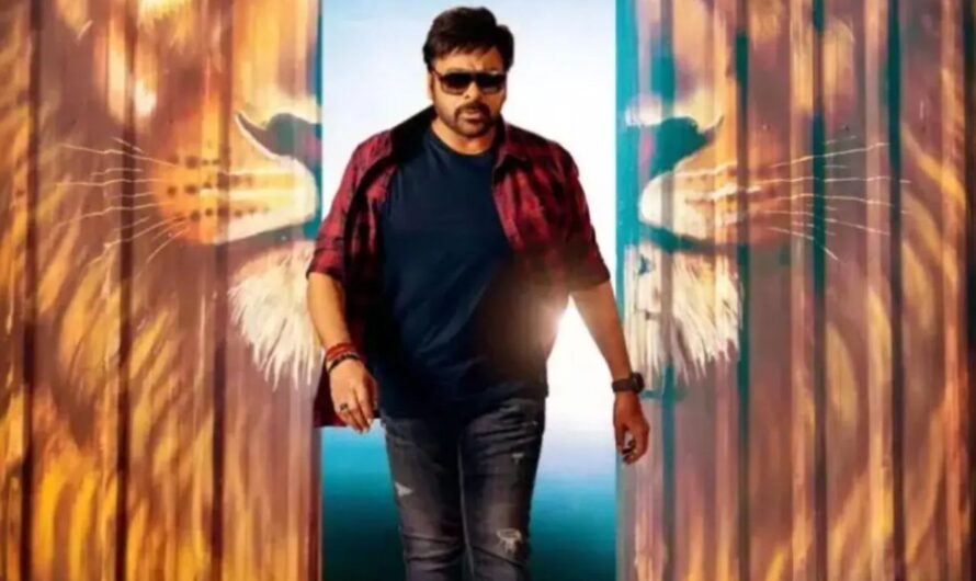 చిరంజీవి పుట్టినరోజుకు భారీ ఏర్పాట్లు …