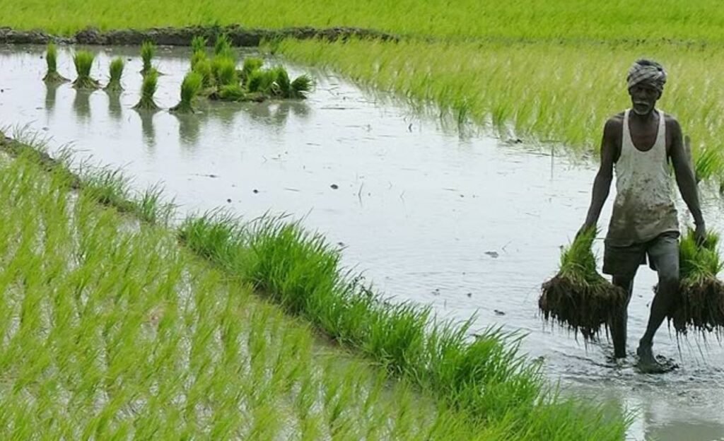 rythu barosa : దసరా కానుకగా రైతు భరోసా