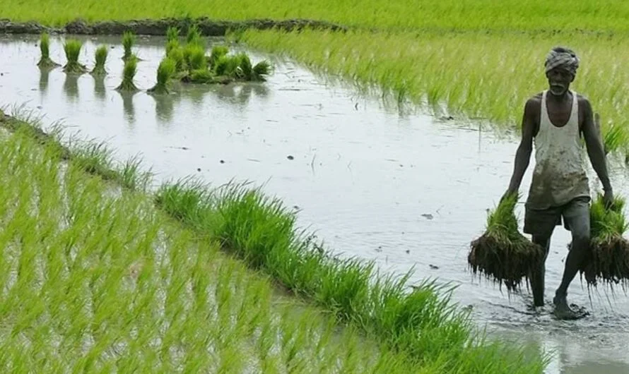 rythu barosa : దసరా కానుకగా రైతు భరోసా
