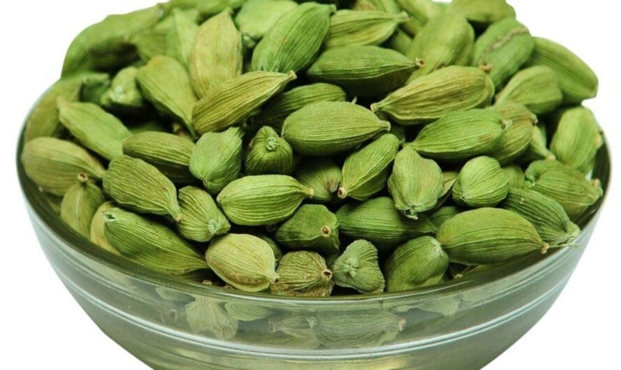 Ilachi : యాలకులు… ఆ వ్యాధిని అడ్డుకోవడంలో మొదటిది