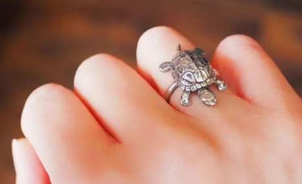 Tortoise : తాబేలు ఉంగరం నియమాలు ఏమిటో తెలుసా  ?