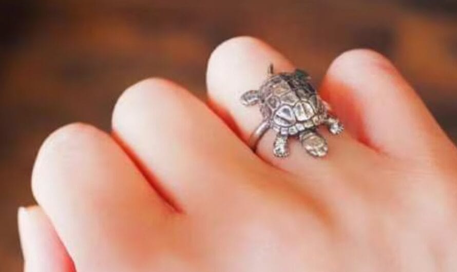 Tortoise : తాబేలు ఉంగరం నియమాలు ఏమిటో తెలుసా  ?
