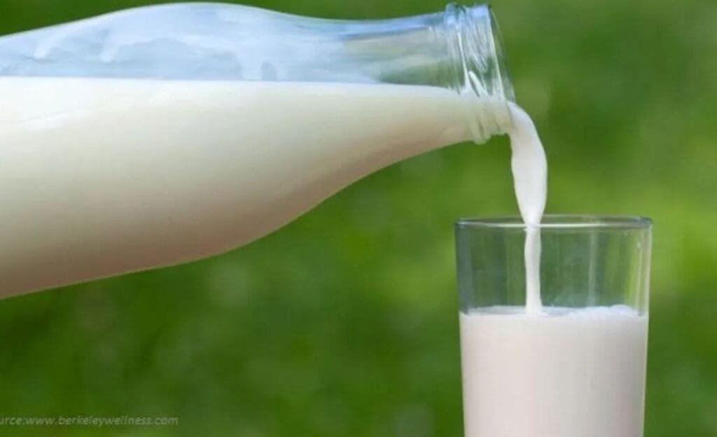 Milk : ఎలాంటి పాలు తాగితే ఆరోగ్యానికి మంచిదో తెలుసా ?