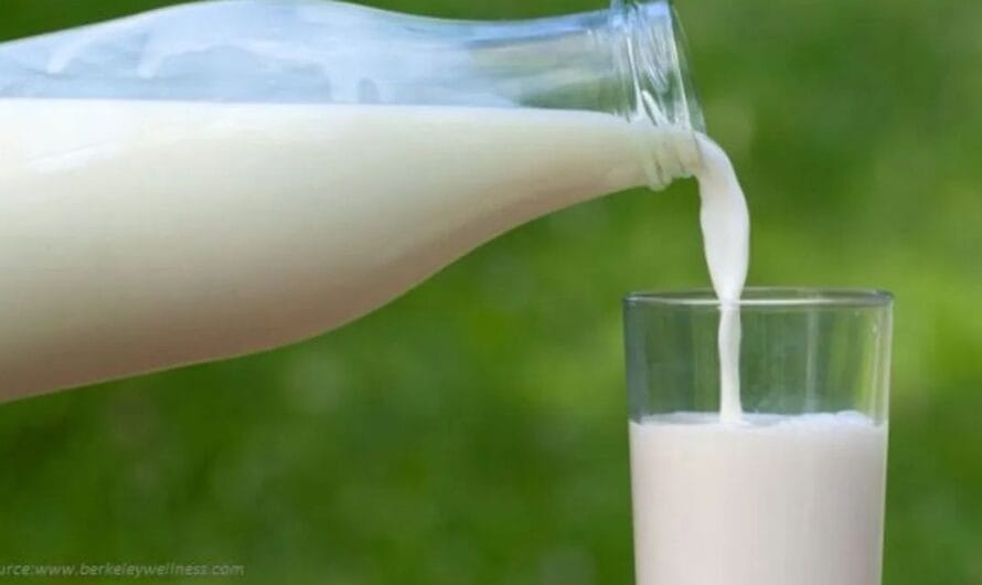 Milk : ఎలాంటి పాలు తాగితే ఆరోగ్యానికి మంచిదో తెలుసా ?