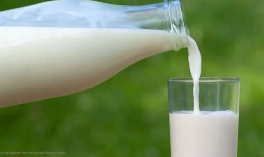 Milk : ఎలాంటి పాలు తాగితే ఆరోగ్యానికి మంచిదో తెలుసా ?