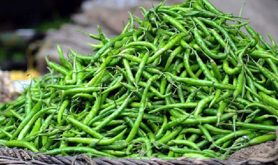 Mirchi : పచ్చి మిరపకాయలతో బోలెడు లాభాలు…తెలుసా ?