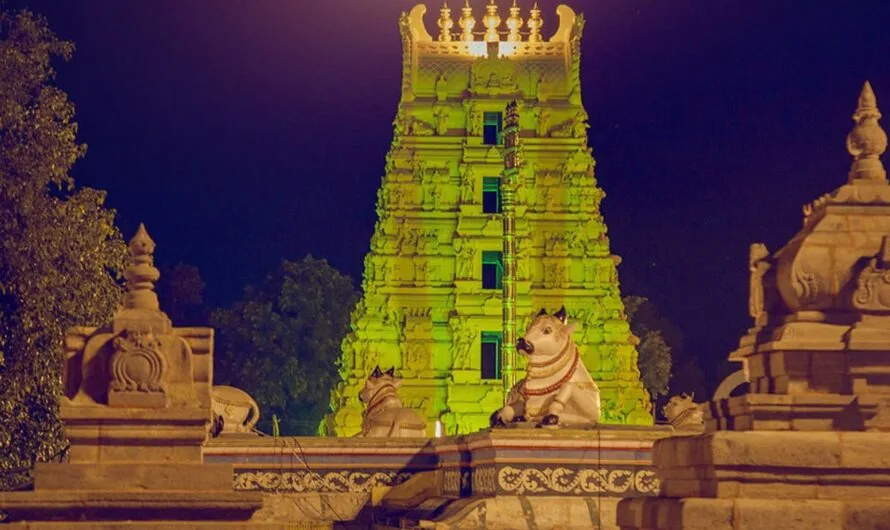 Sri sylam : శ్రీశైలం ఆలయ చరిత్రకు దొరికిన కీలక ఆధారాలు