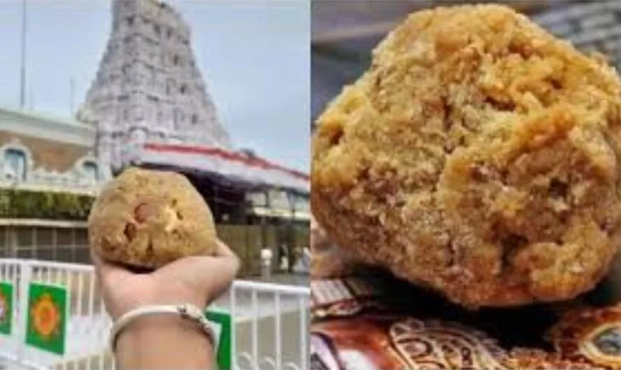 Thirupathi : ఉత్తర ద్వార దర్శనంకు రోజుకు ఎన్ని లడ్డూలు తయారు చేస్తున్నారో తెలుసా ?