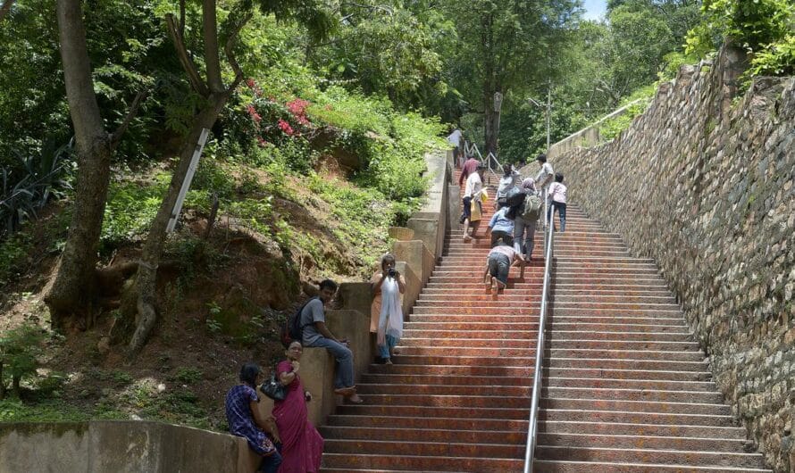 TTD : తిరుమల కాలినడకలో ఎన్ని మెట్లో తెలుసా ?