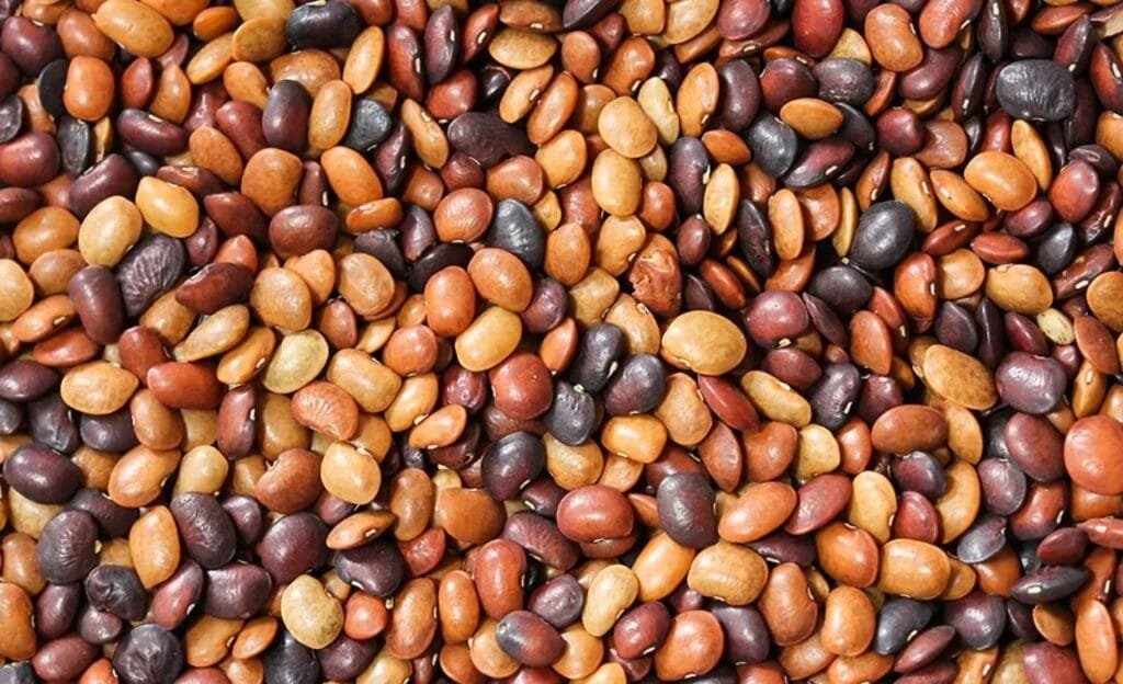Horse Gram : ఉలవలు…బోలెడు లాభాలు తెలుసా ?