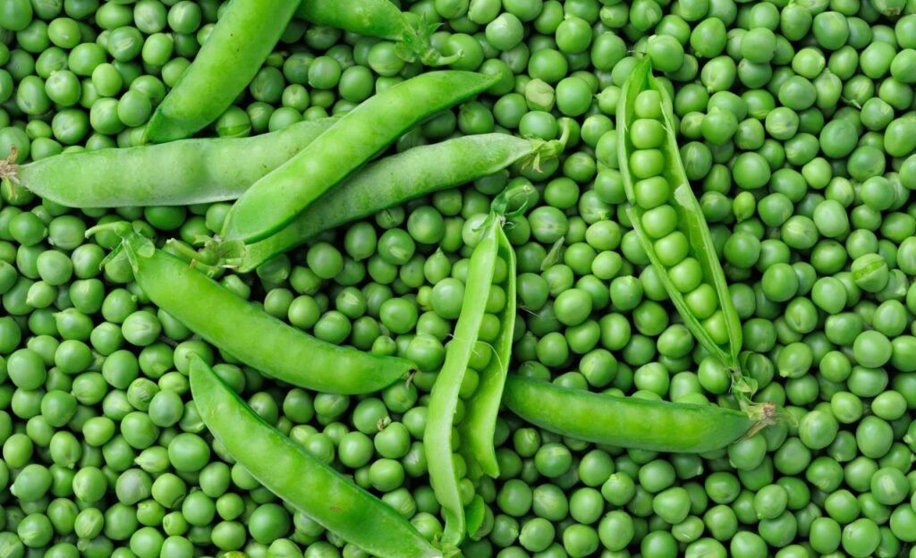 green peas : పచ్చి బఠాణితో పుష్కలంగా ప్రయోజనాలు