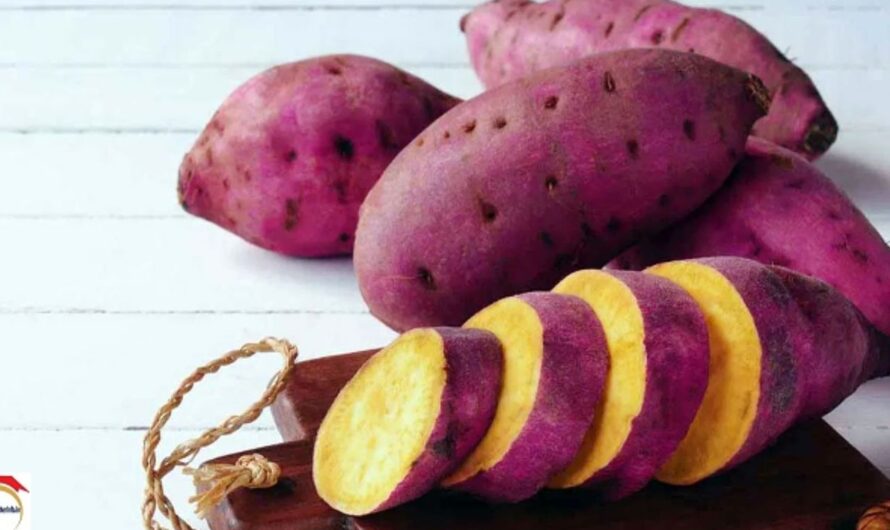 Sweet potato : చిలగడ దుంప తింటే ఆరోగ్య సమస్యలన్నీ మాయం