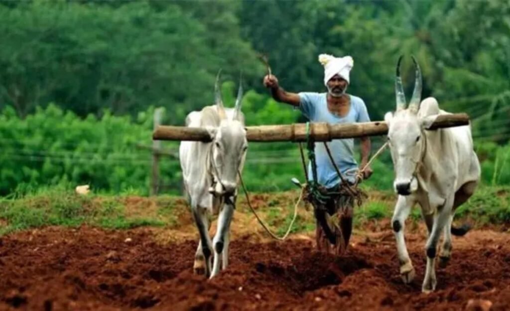 Farmer : రైతులకు శుభవార్త ప్రకటించిన కేంద్ర ప్రభుత్వం