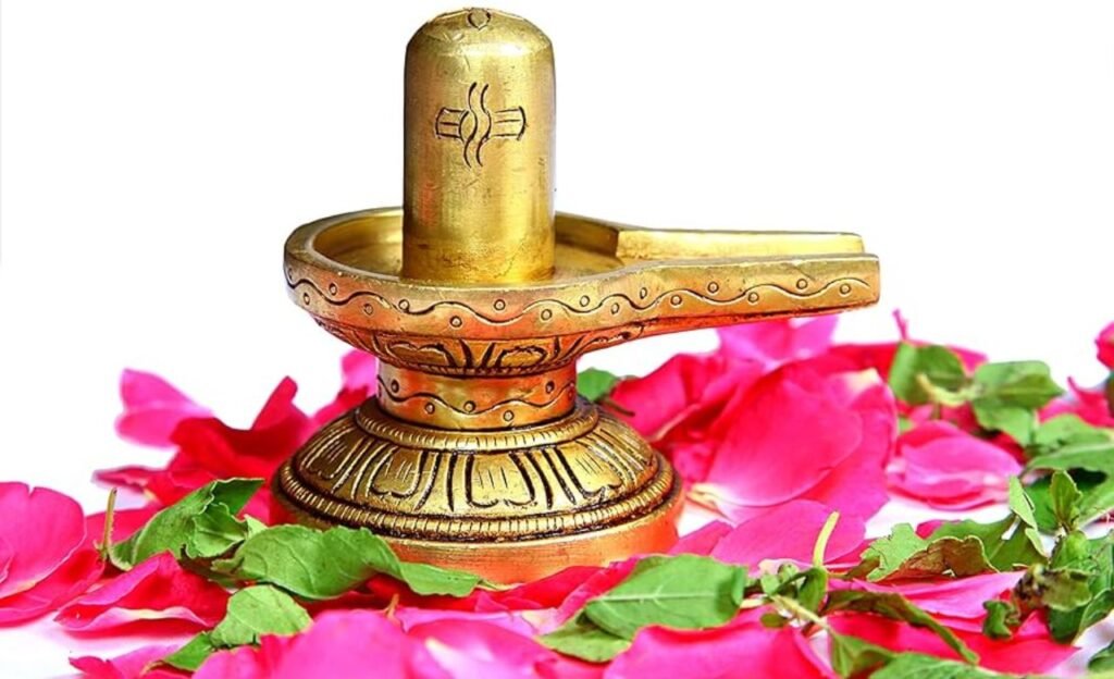 sivaratri : శివరాత్రి రోజు ఆ పాత్రతో అస్సలు పూజ చేయకండి
