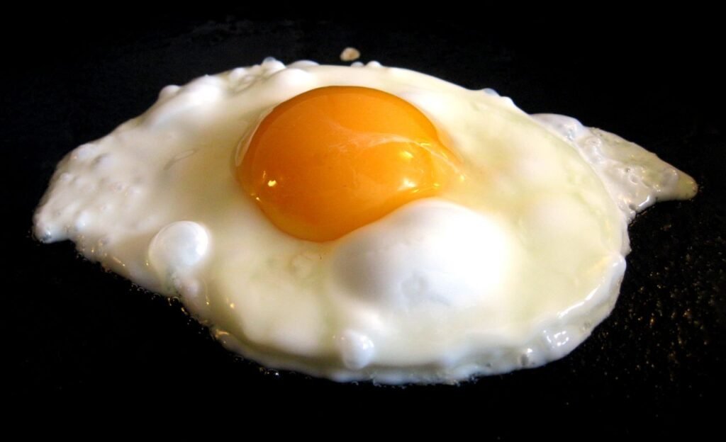 Egg :కోడి గుడ్డు శాకాహారమా.. మాంసాహారమా…. ???
