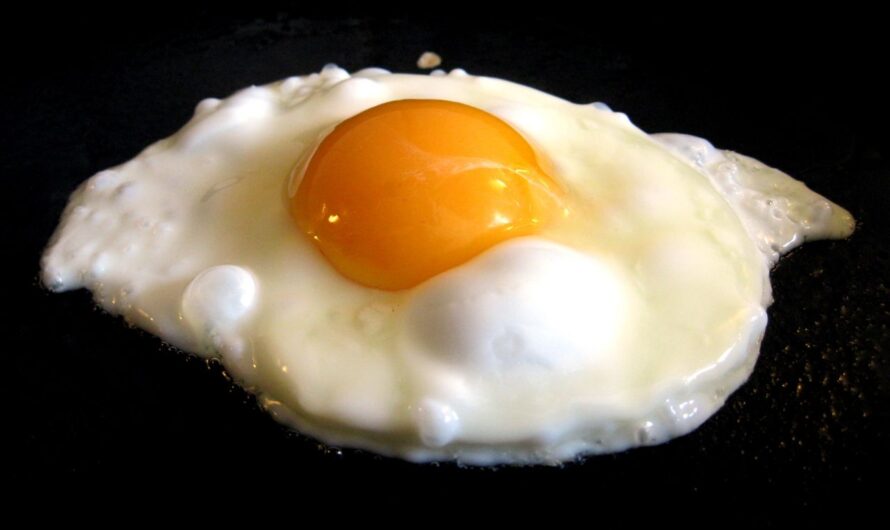Egg :కోడి గుడ్డు శాకాహారమా.. మాంసాహారమా…. ???