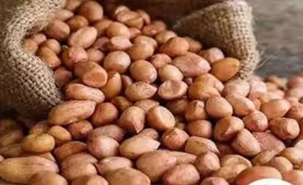 Peanuts : డ్రై ఫ్రూప్ట్స్ మించి పల్లి లో పుష్కలంగా పోషకాలు తెలుసా  ?