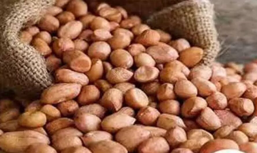 Peanuts : డ్రై ఫ్రూప్ట్స్ మించి పల్లి లో పుష్కలంగా పోషకాలు తెలుసా  ?