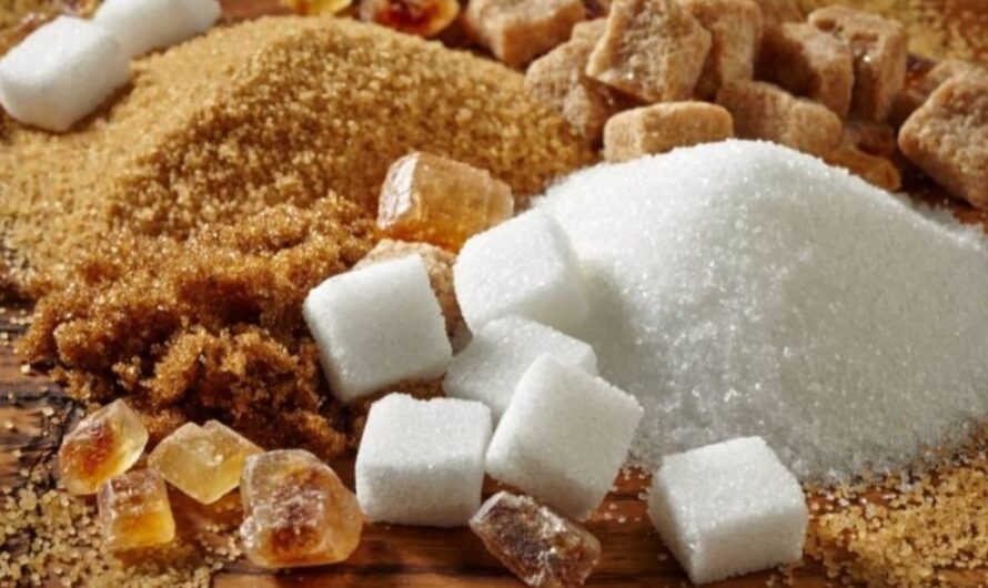 Sugar : శర్కర, బెల్లం…. వీటిలో ఏది మంచిది.