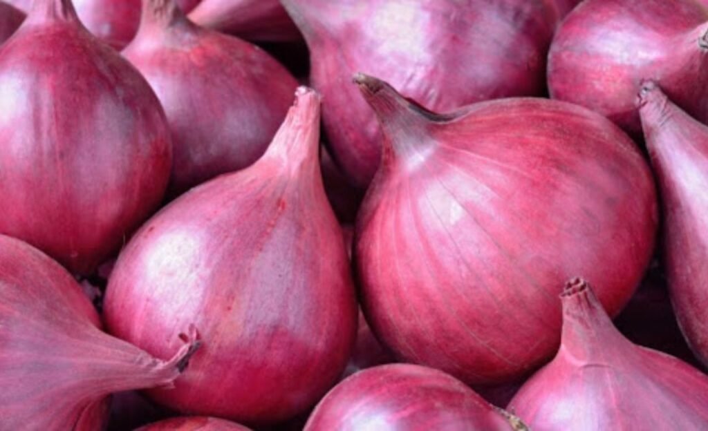 Onion : వేసవిలో ఉల్లిపాయలు ఎలా పనిచేస్తాయంటే …….