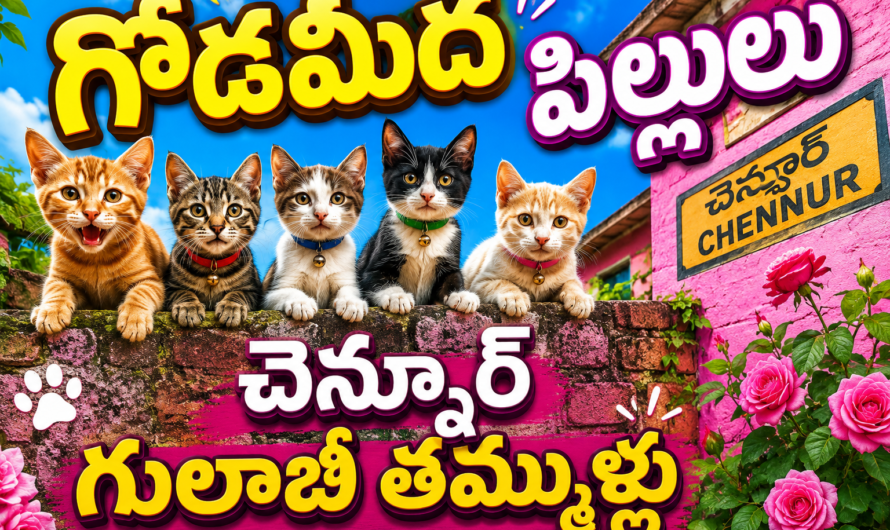 గోడమీద పిల్లులు….గులాబీ తమ్ముళ్లు