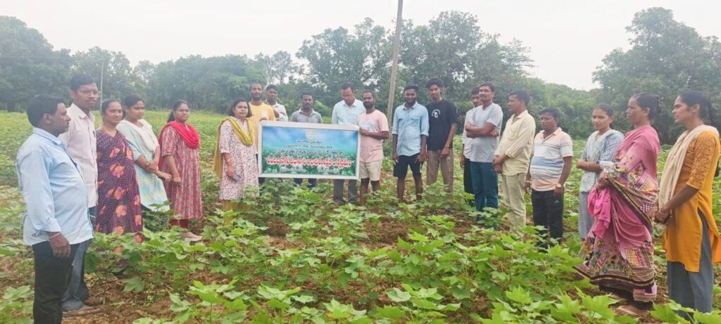 పత్తిలో పంటల వైవిధ్యీకరణపై రైతులకు అవగాహన