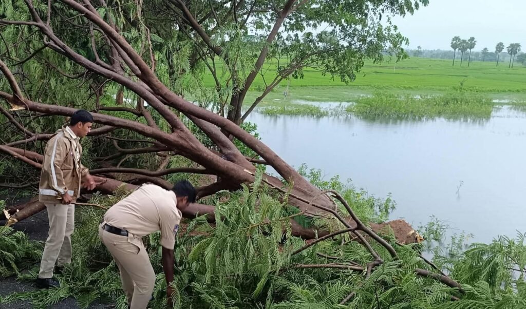 బీబీపేటలో భారీ వర్షం.. రోడ్డుపై కూలిన చెట్లు