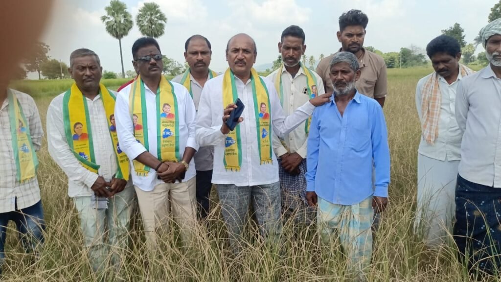 విద్యుత్ సరఫరా లేక ఎండిపోతున్న పంటలు
